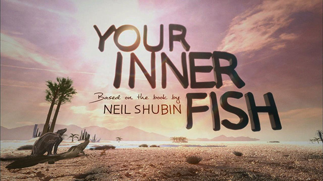 Your Inner Fish, Based on the book by Neil Shubin